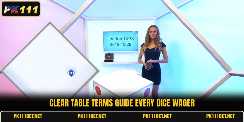 Clear table terms guide every dice wager Clear table terms guide every dice wager